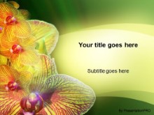 Presentationpro.com Powerpoint Products and Services