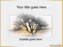 Presentationpro.com Powerpoint Products and Services