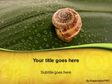 Presentationpro.com Powerpoint Products and Services