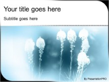 Presentationpro.com Powerpoint Products and Services