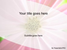 Presentationpro.com Powerpoint Products and Services