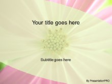 Presentationpro.com Powerpoint Products and Services