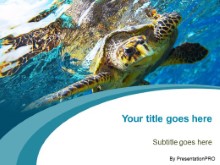 Presentationpro.com Powerpoint Products and Services