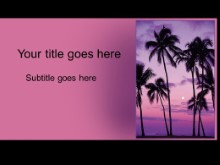 Presentationpro.com Powerpoint Products and Services