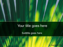 Presentationpro.com Powerpoint Products and Services