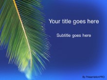 Presentationpro.com Powerpoint Products and Services