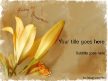 Presentationpro.com Powerpoint Products and Services