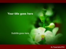 Presentationpro.com Powerpoint Products and Services
