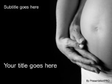 Presentationpro.com Powerpoint Products and Services
