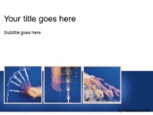 Presentationpro.com Powerpoint Products and Services
