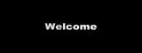 Presentationpro.com Powerpoint Products and Services