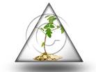 Money Plant TRI PPT PowerPoint Image Picture