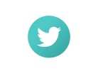 Flat Twitter 01 Circle PPT PowerPoint Image Picture