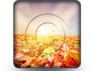 Autumn Fall Square PPT PowerPoint Image Picture