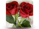 Roses 02 Square PPT PowerPoint Image Picture