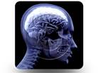 Brain 01 Square PPT PowerPoint Image Picture
