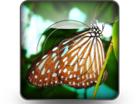 Download butterfly b PowerPoint Icon and other software plugins for Microsoft PowerPoint