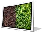 Grass And Soil F PPT PowerPoint Image Picture