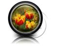 Download tulips02 c PowerPoint Icon and other software plugins for Microsoft PowerPoint