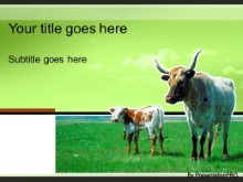 Download cattle graze green PowerPoint Template and other software plugins for Microsoft PowerPoint