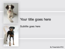 Download doggie pals PowerPoint Template and other software plugins for Microsoft PowerPoint