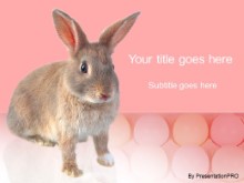 Download pink bunny PowerPoint Template and other software plugins for Microsoft PowerPoint