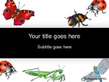 Download insects PowerPoint Template and other software plugins for Microsoft PowerPoint