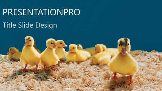 Baby Ducks Widescreen PowerPoint Template title slide design
