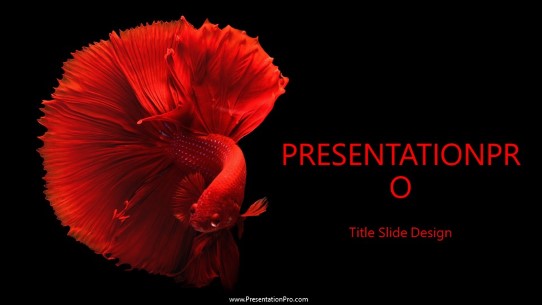 Betta Fish Bold Widescreen PowerPoint Template title slide design