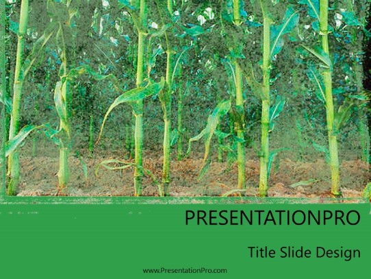 Corn Stalks PowerPoint Template title slide design