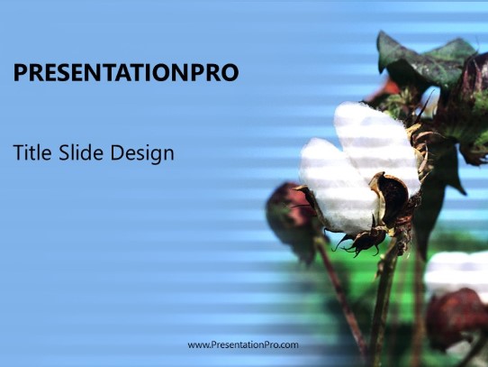Cotton PowerPoint Template title slide design