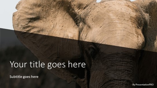 Elephant Widescreen PowerPoint Template title slide design