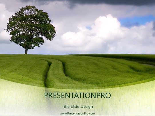 Field Of Barley PowerPoint Template title slide design