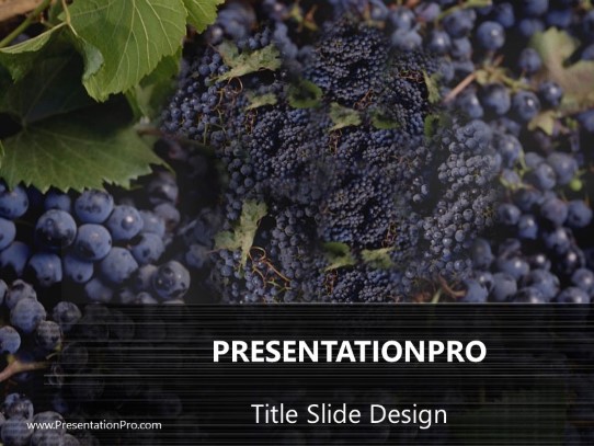 Grapes PowerPoint Template title slide design