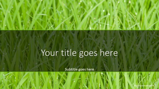 Grass Closeup Widescreen PowerPoint Template title slide design