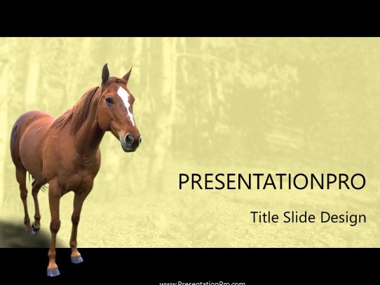Horse 2 PowerPoint Template title slide design