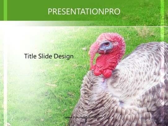 Turkey PowerPoint Template title slide design