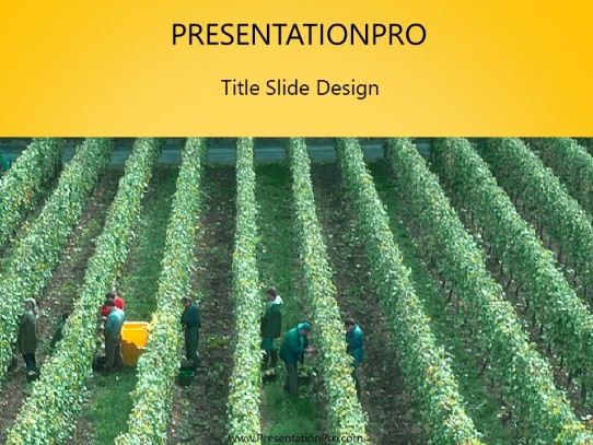 Vineyard PowerPoint Template title slide design