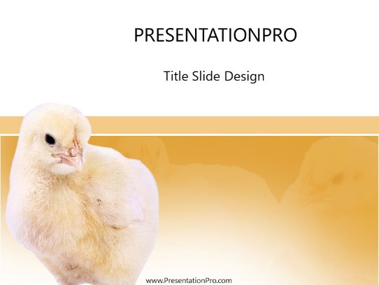 Chicks PowerPoint Template title slide design