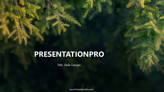 Christmas Tree Close Widescreen PowerPoint Template title slide design