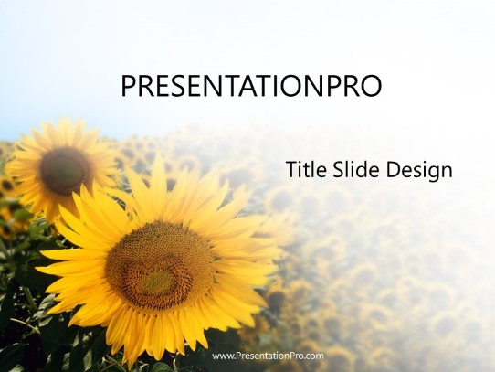 Sunflower PowerPoint Template title slide design
