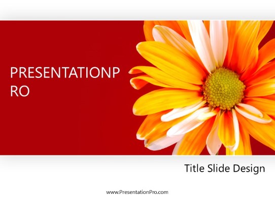 Daisy Flower PowerPoint Template title slide design
