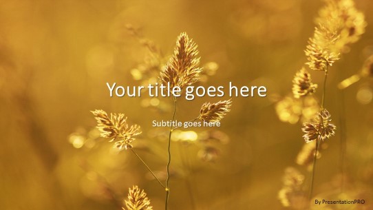 Golden Fields Widescreen PowerPoint Template title slide design