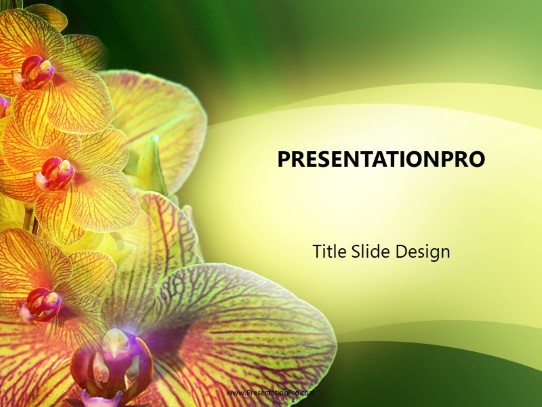 Orchid Swoosh PowerPoint Template title slide design