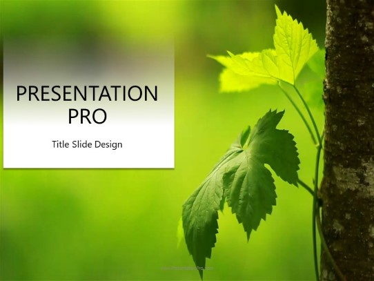 The Ivy PowerPoint Template title slide design