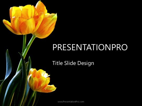 Tulips Trio PowerPoint Template title slide design