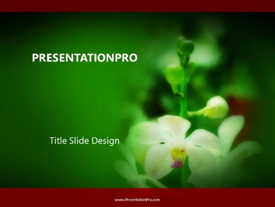 White Orchids PowerPoint Template title slide design