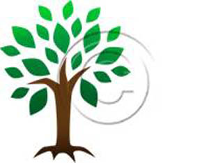 Symbollic Tree PPT PowerPoint picture photo