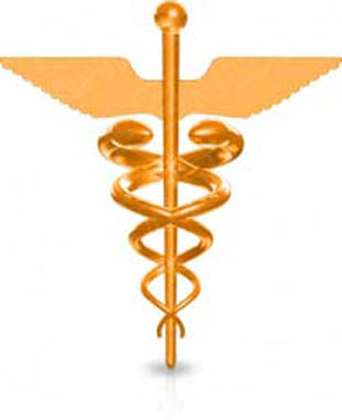 Presentationpro.com Powerpoint Products and Services