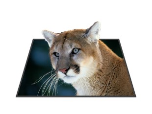 PowerPoint Image - 3D Cougar Square